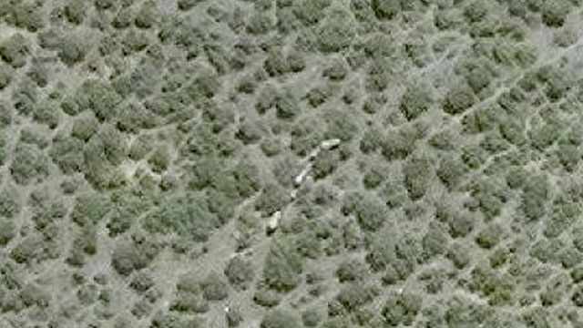 ሓራምዝ ካብ ሳተላእት ክርኣዩ እንከለዉ