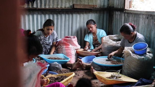 स्थानीय महिलाएं