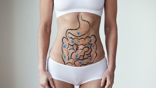 Imagem mostra ilustração de intestino desenhada na barriga de uma mulher