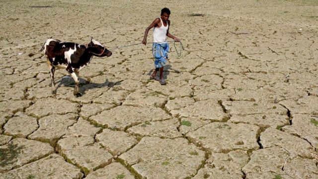 Засуха в Индии