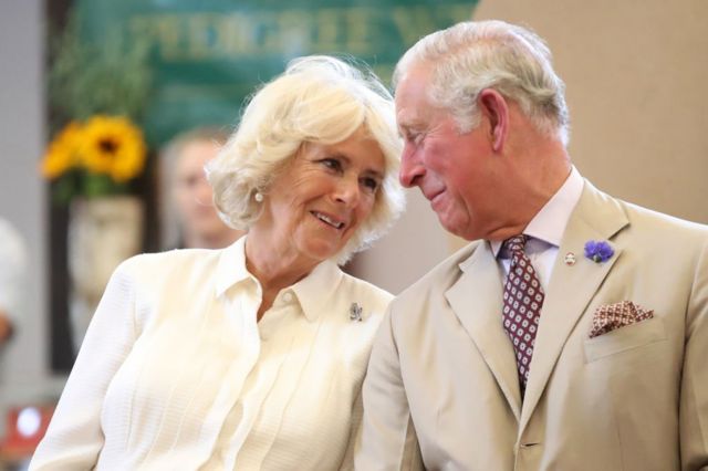 Принц Чарльз и герцогиня Корнуольская смотрят друг на друга