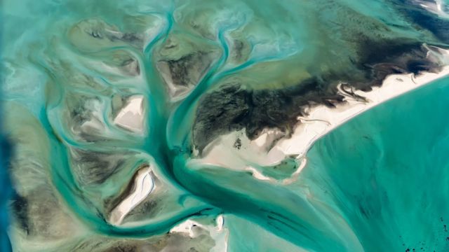 2011年，鲨鱼湾经历了一场强烈的热浪，导致海水在两个月内上升了5摄氏度（Credit: Getty Images）(photo:BBC)