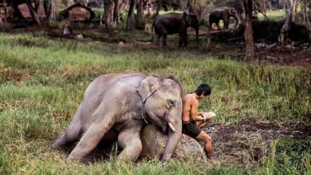 Chiang Mai, Tailand, 2010