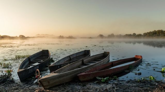 Тумани на Прип'яті