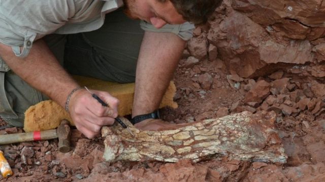 Yırtıcıya ait keşfedilen kemikler 86 milyon yıldır kayalıkların altında kalmış.