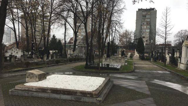 Grob Jovana Cvijića