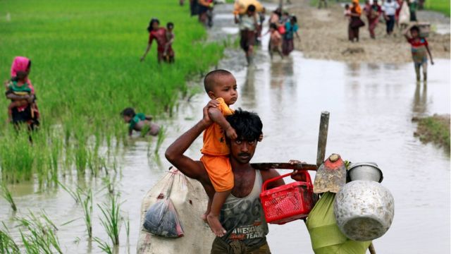 rohingya