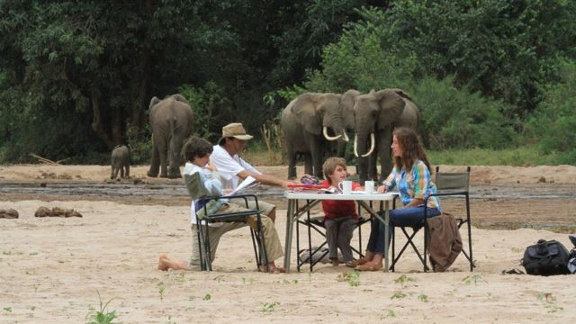 Sentados con su mesa y elefantes