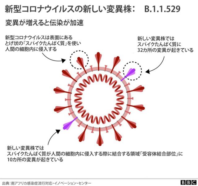 株 オミクロン SARSコロナウイルス2