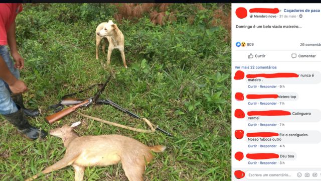 Questionado pela reportagem, o Facebook tirou do ar o grupo "Caçadores de paca" por violar regras ao retratar ou promover violência física contra animais