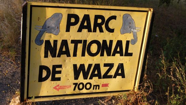Atoka kan ni enu ona Waza natural Park, ni ekun ariwa Cameroon.