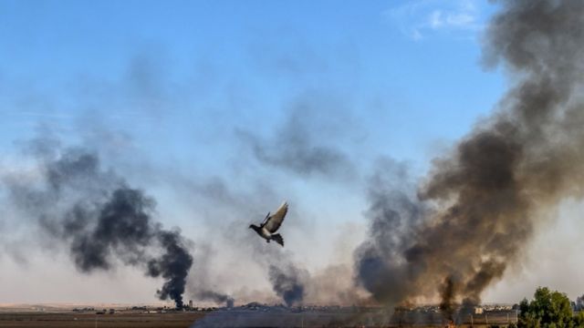 الدخان يتصاعد في سماء بلدة تل أبيض شمال سوريا إثر هجوم تركي
