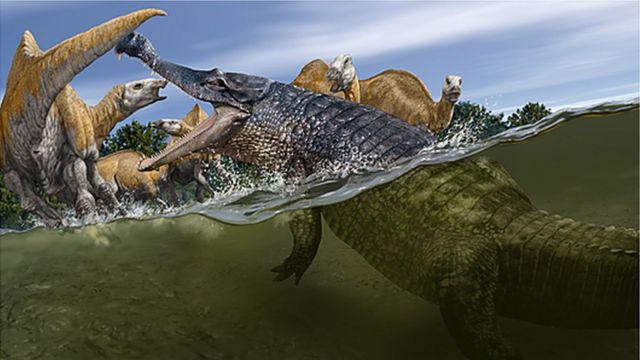 Oldest croc eggs discovered in dinosaur nest - BBC News