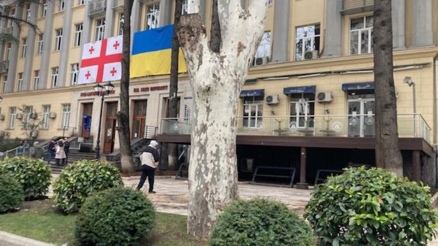 Флаг Украины и Грузии на здании государственного университета Ильи в Тбилиси