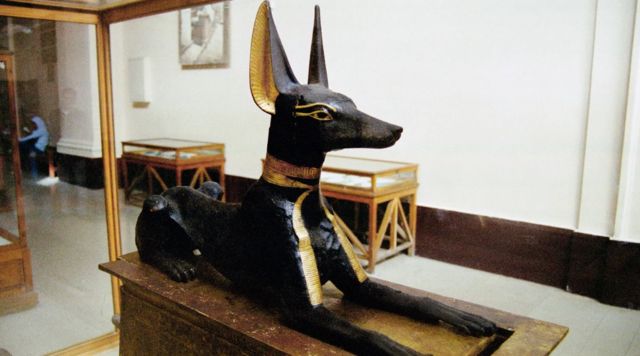 Бог Анубис са ликом пса је показатељ тога да су пси заузимали значајно место у древном Египту