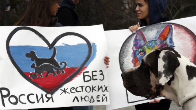 Акция зоозащитников