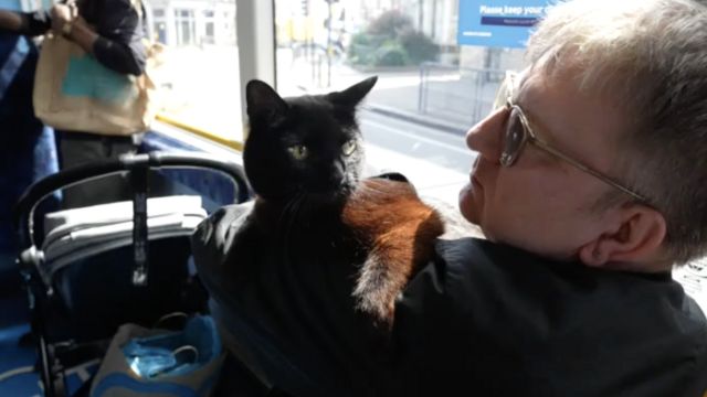 Chloe otobüste Ian'la beraber seyahat ediyor