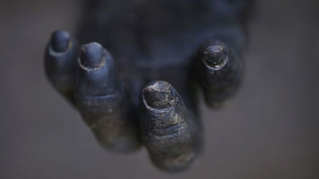Mano de un chimpancé