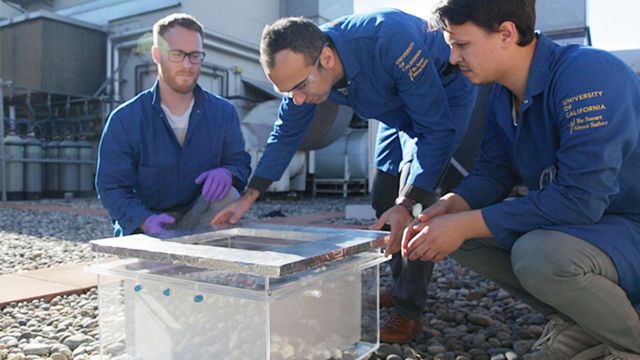 Investigadores de la Universidad de California Berkeley con la caja que cosecha agua