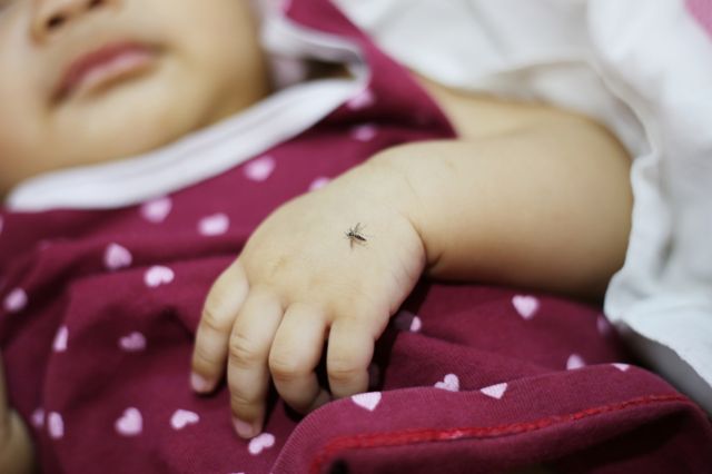 Un bebé con un mosquito posado en su mano