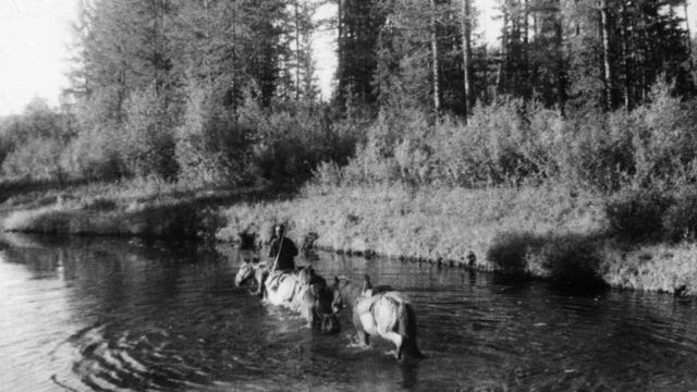 Экспедиция Леонида Кулика к месту падения Тунгусского метеорита (1938 год)