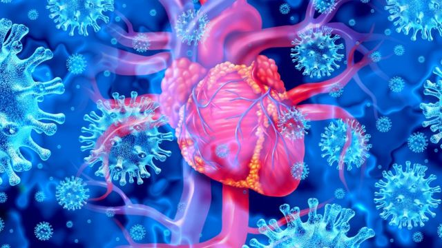 Ilustración de los efectos del coronavirus sobre el corazón