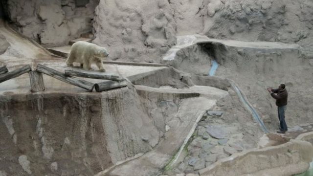 Arturo en el zoo de Mendoza