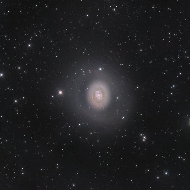 M94: Halo de espacio profundo por Nicolas Outters