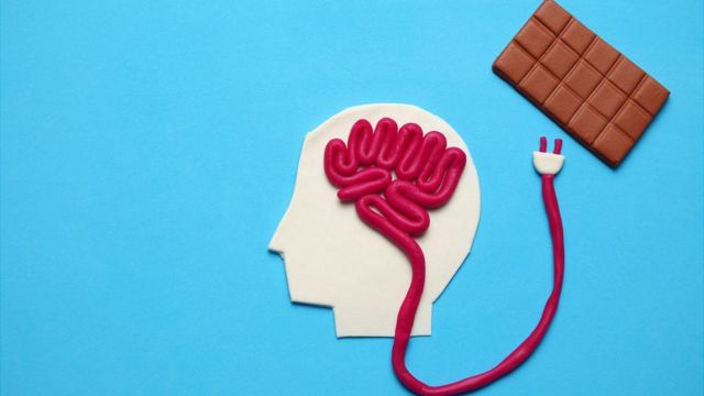 Brain connected to chocolate
