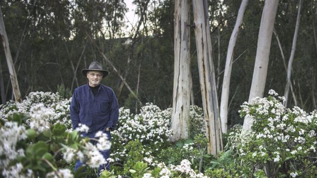 Richard Louv em um bosque