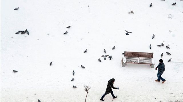 Pedestrians pass pigeons along a snow-covered street in Pristina