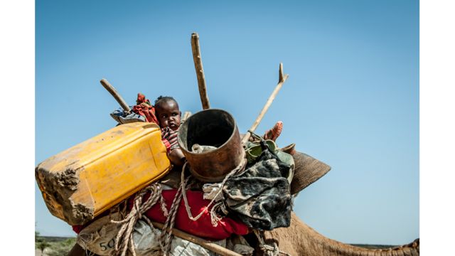 Эфиопия засуха