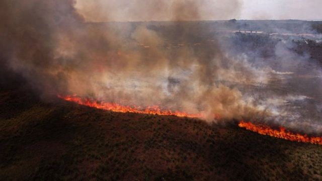 亚马逊雨林于田野的混合区域正在燃烧，而附近的居民则试图控制火势（马瑙斯，2023年10月4日资料照片）