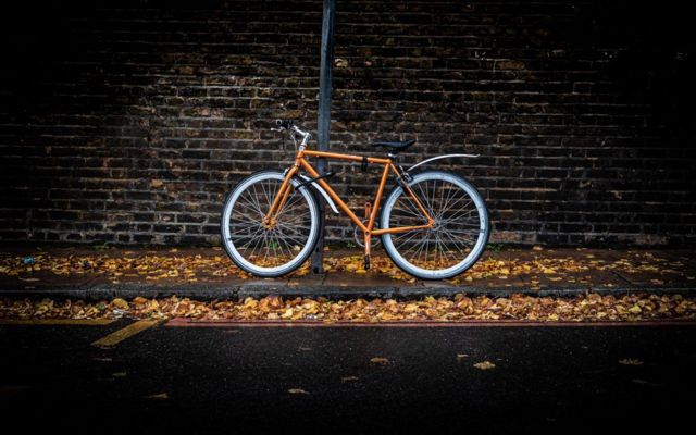 Bicycle and fallen leaves
