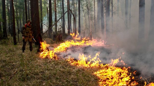 Законопроект предусматривает изъятие земельных участков у собственников за нарушение требований пожарной безопасности