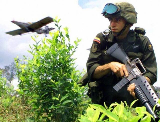Soldado erradicador