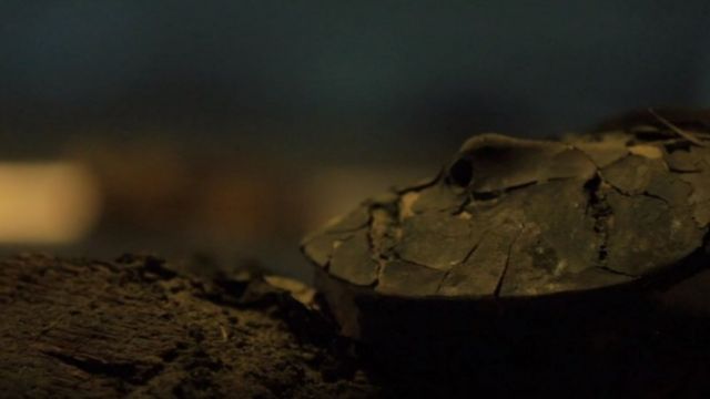 எகிப்து மம்மிகளுக்கே முன்னொடியான சின்கோர்ரோ மம்மிகள்