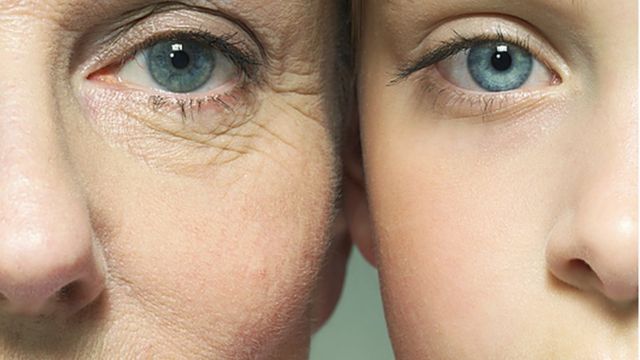 Lithium study helps scientists unlock ageing puzzle