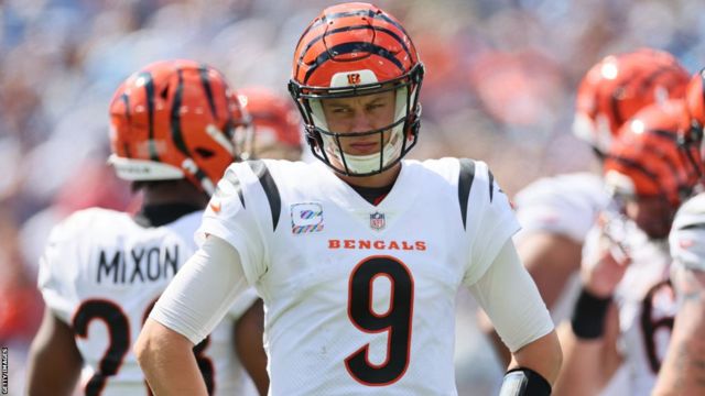 5 things we learned from the Bengals' absolute demolition of the