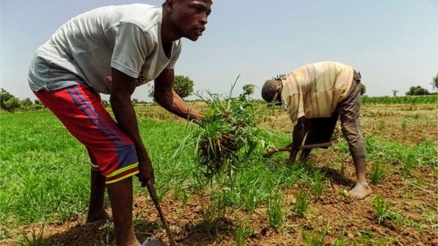 Wasu 'yan Nigeria na ci gaba da kokawa game da matsin rayuwa