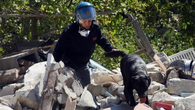 Un policía un su perro buscan entre los escombros.