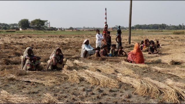 बिहार चुनावः लाखों लोगों तक मनरेगा को पहुँचाने वाले एक मज़दूर भी हैं मैदान में - BBC News हिंदी