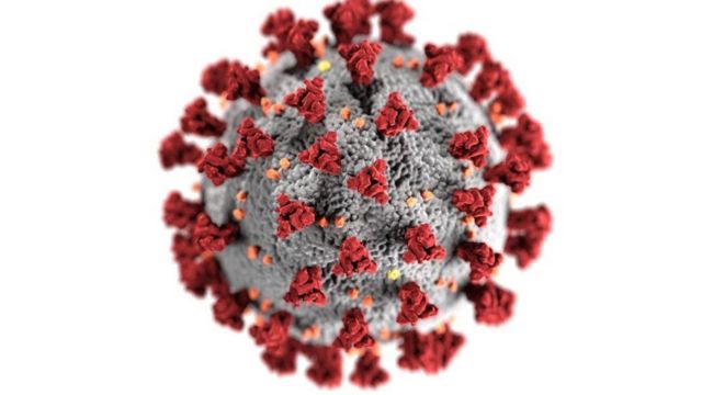 В Индии обнаружен коронавирус - двойной мутант. Насколько это опасно? - BBC  News Русская служба