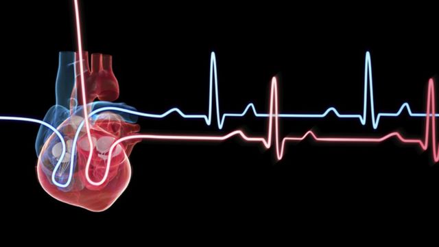 இருதயம்