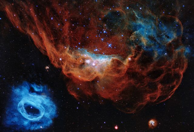 The giant nebula NGC 2014 and its neighbor NGC 2020