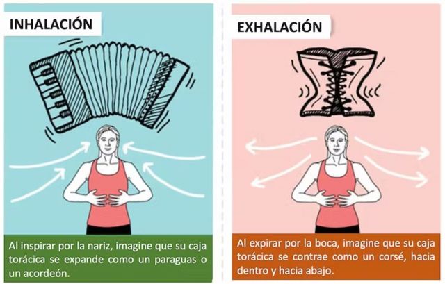 Representación infográfica de la respiración