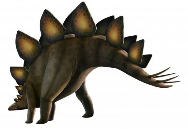 Stegosaurus dinosaur, computer artwork