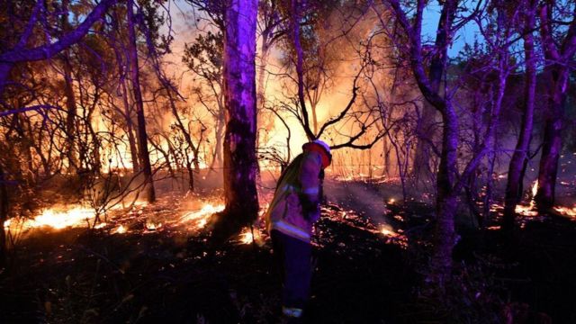 incendios en Australia