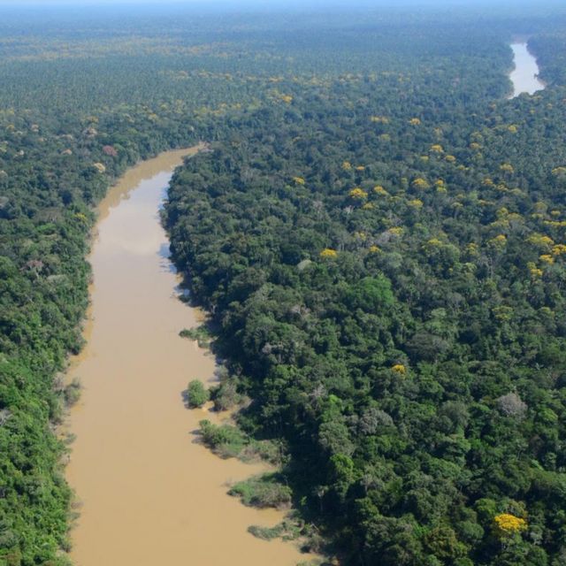 Pesquisadores estudaram uma área de floresta em um ponto remoto do nordeste do Peru