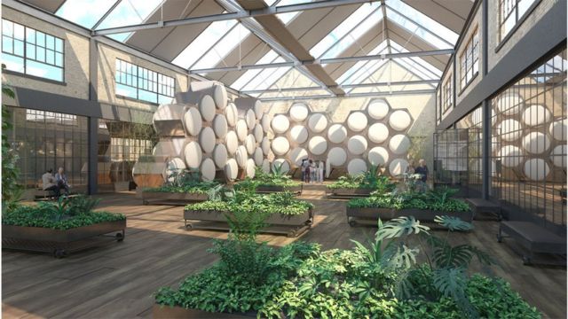 An artist vision of a future Recompose facility shows circular vessels in a honeycomb structure in a garden